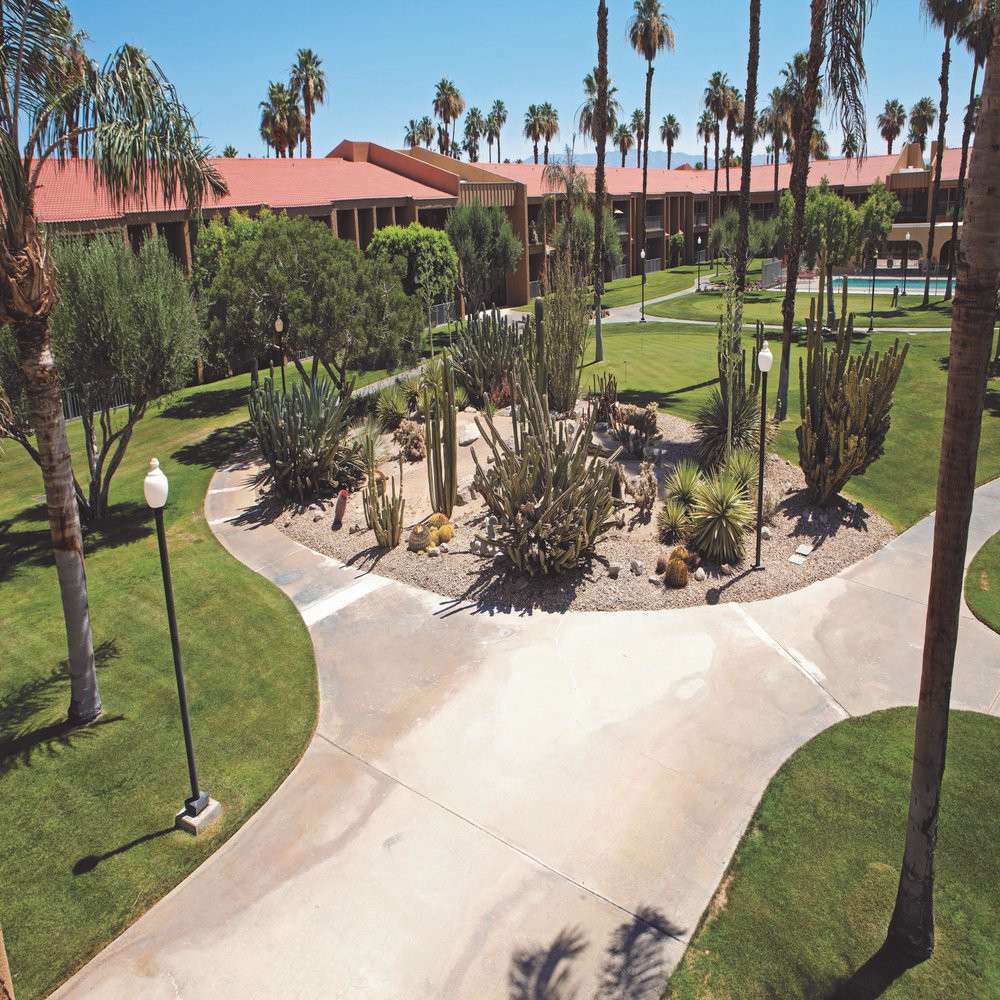 A sunny garden landscape with palm trees, pathways, and well-maintained grass.