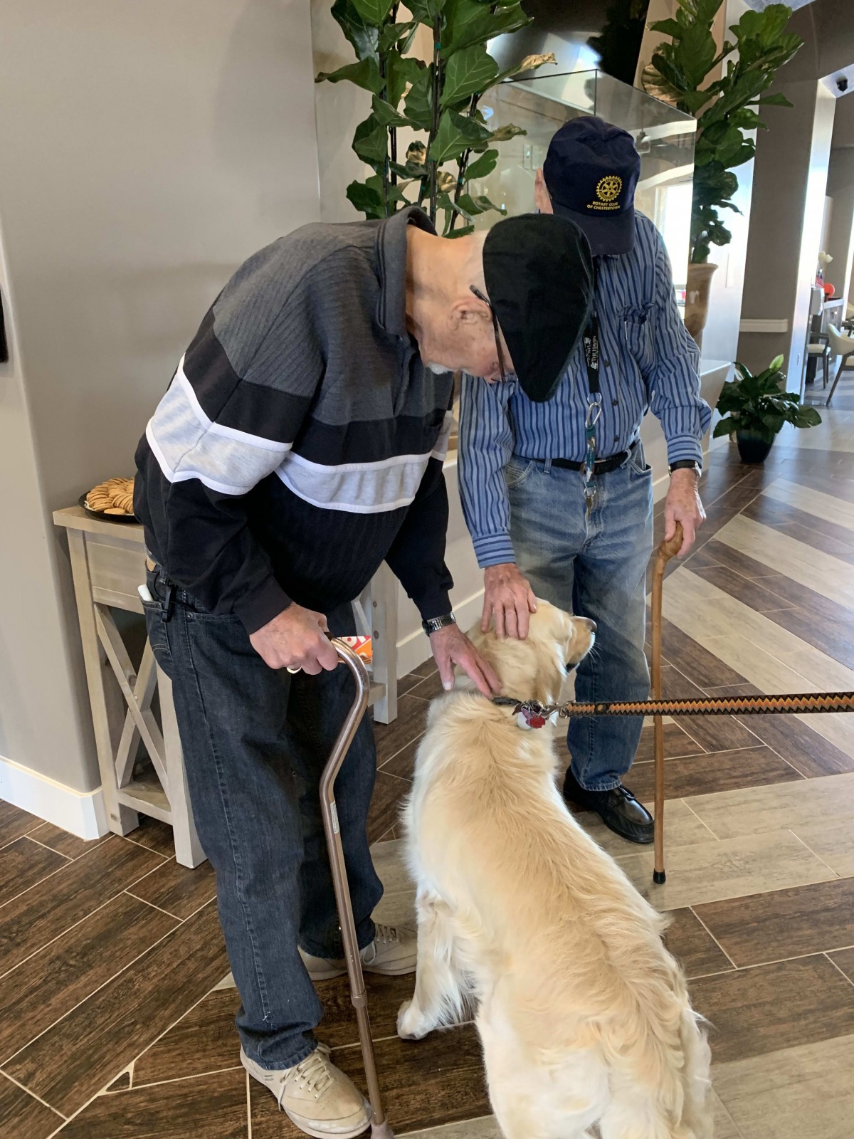 Two elderly individuals interacting with a dog indoors, one using a cane for support.