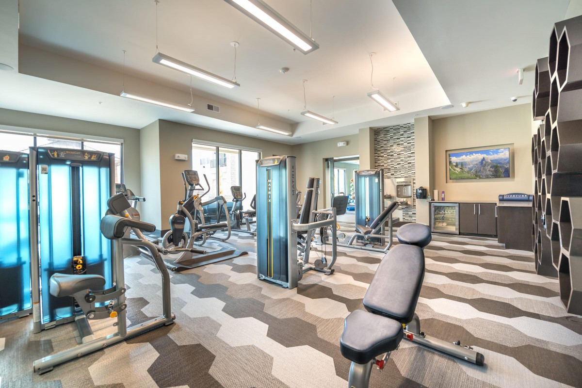 A modern gym equipped with various exercise machines and weights.