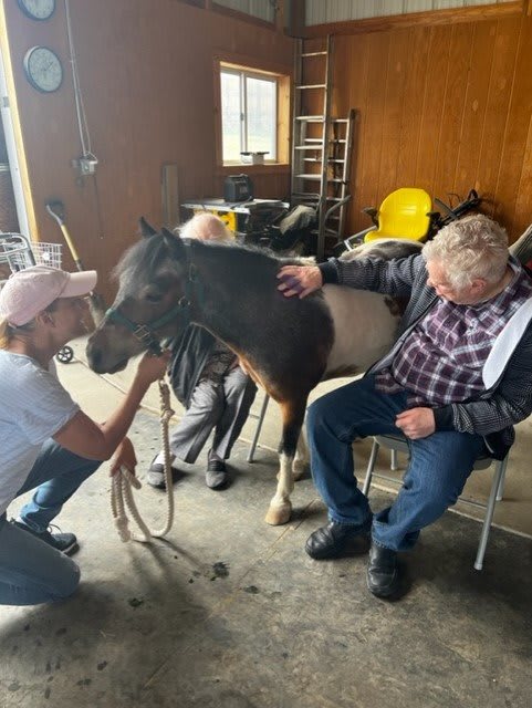 A group of people interact with a horse indoors, enjoying a casual moment together.