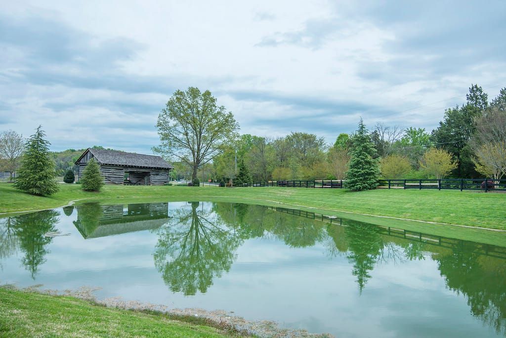 A serene landscape with a pond reflecting trees and the sky.