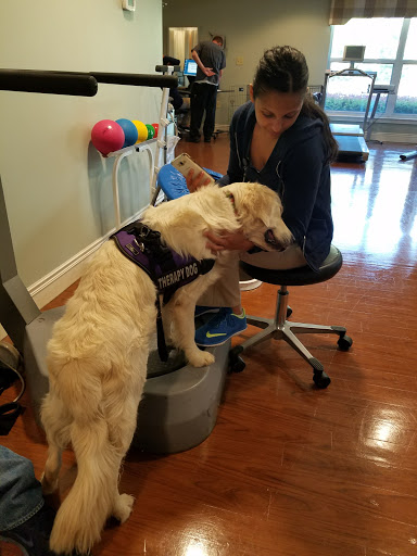 A service dog interacts with a person seated at a therapy session.