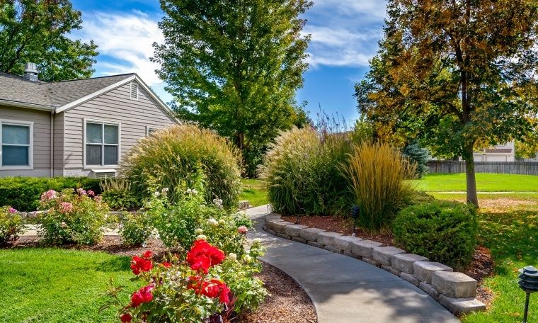 A beautiful garden pathway lined with vibrant flowers and lush greenery.