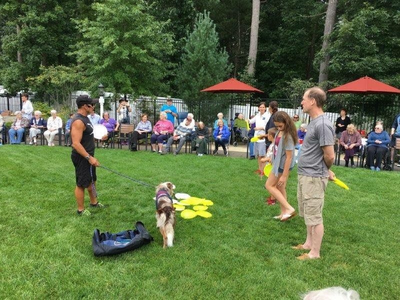 A group of people watch a dog performing with frisbees in a park setting.