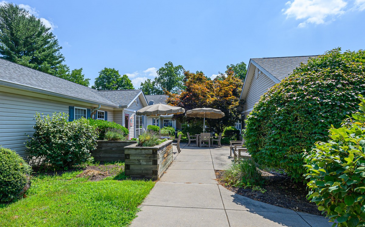 A peaceful outdoor setting with a pathway leading to patio furniture surrounded by lush greenery.