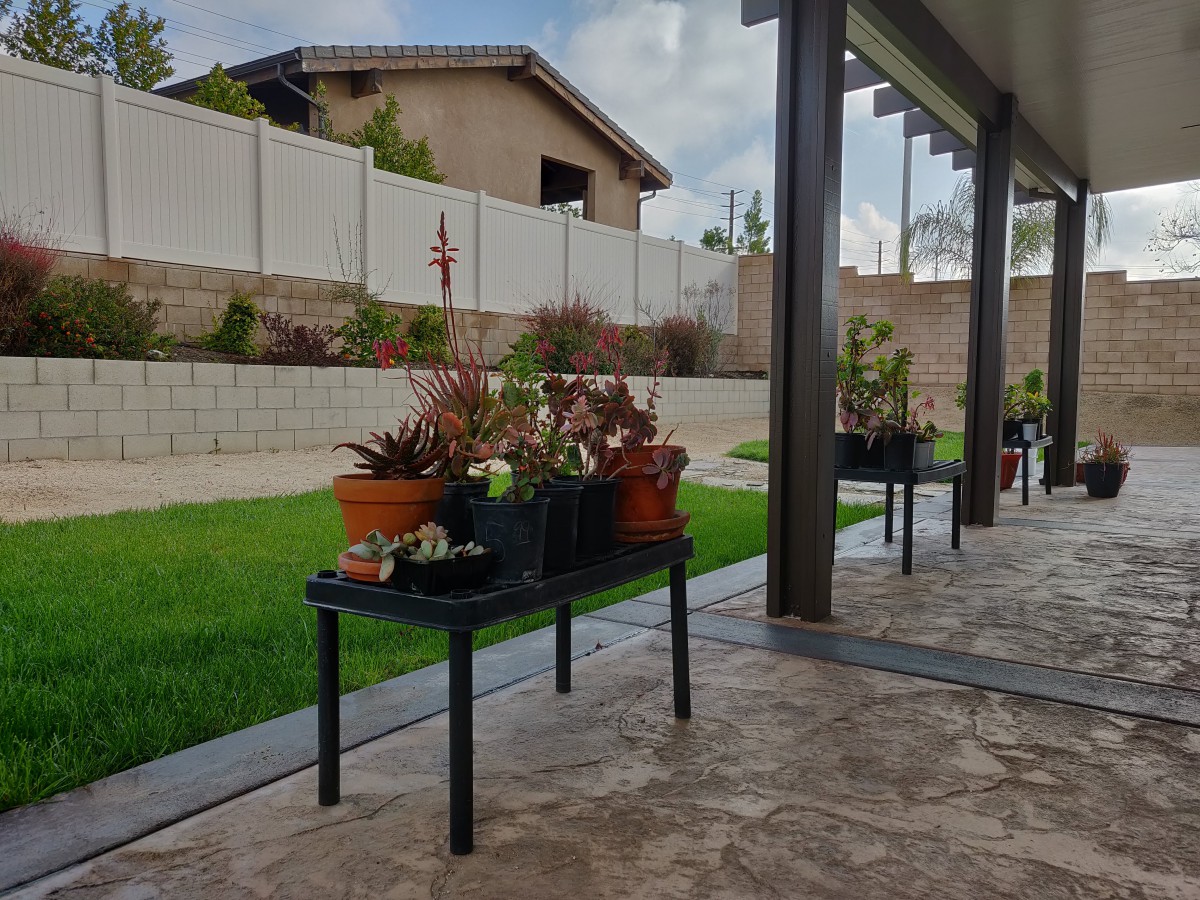 A tranquil backyard patio with potted plants and neatly trimmed grass.
