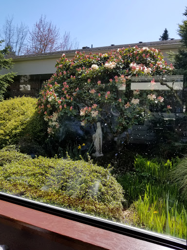 A serene garden featuring lush greenery, blooming flowers, and a decorative statue.