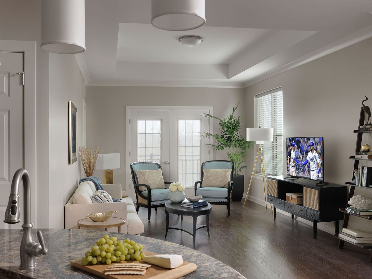 A modern living room featuring comfortable seating, a TV, and stylish decor.