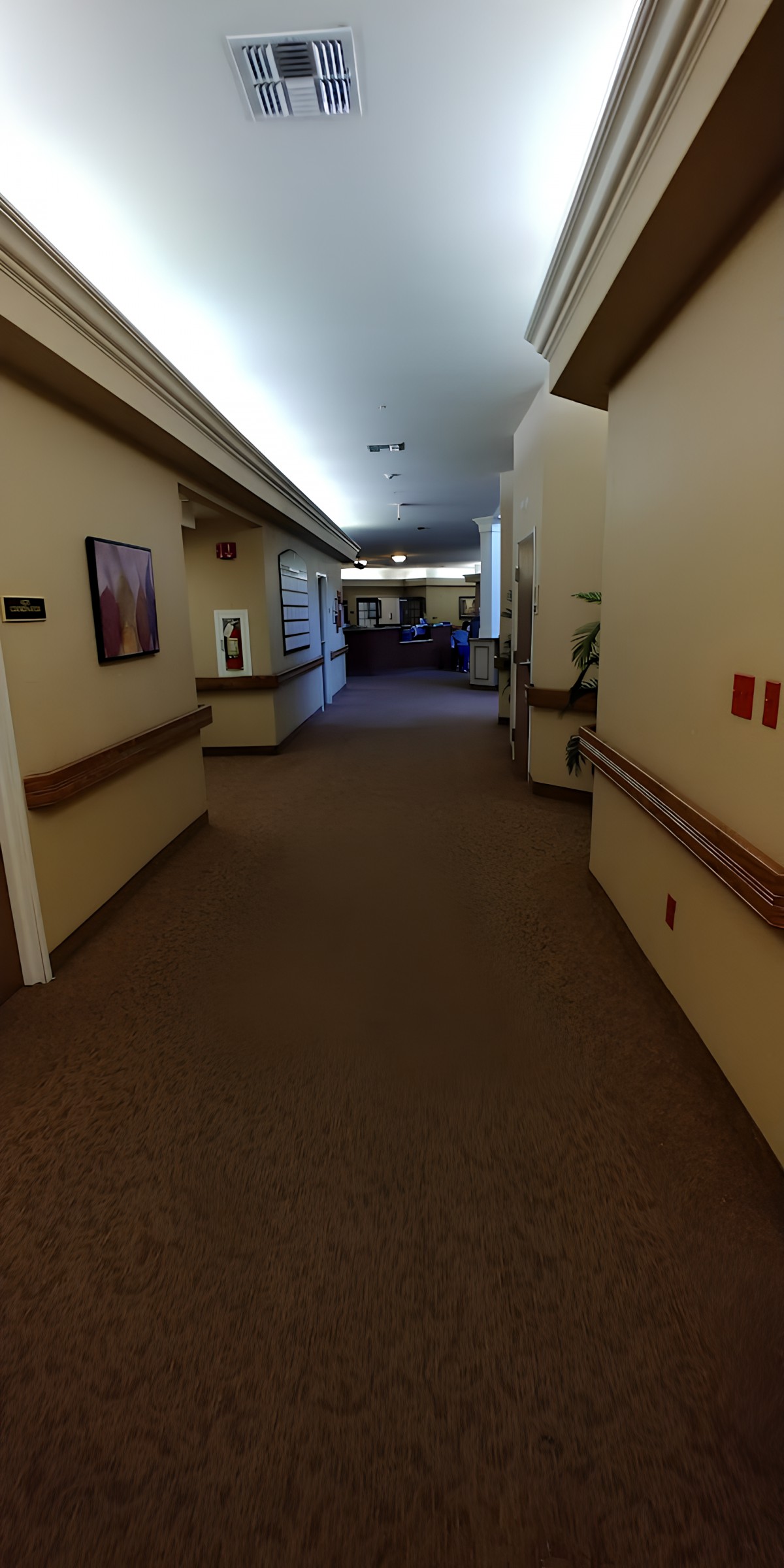 An empty hallway in a building with decor on the walls and overhead lighting.