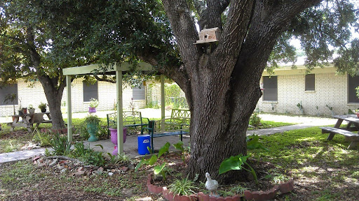 A serene backyard scene featuring a large tree with a birdhouse, surrounded by lush greenery.
