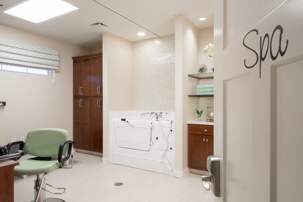 A modern bathroom with a walk-in tub and sleek cabinetry.