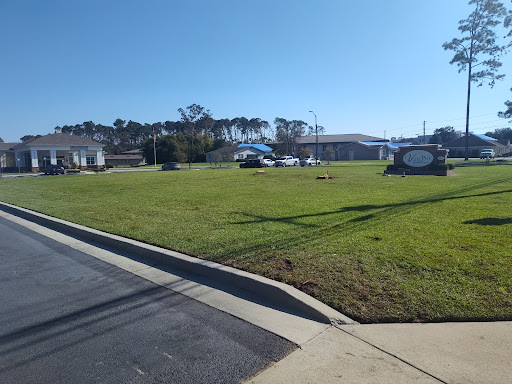 A sunny day showcasing a grassy area next to the road.