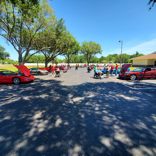 A vibrant gathering of car enthusiasts showcasing red vehicles under clear blue skies.