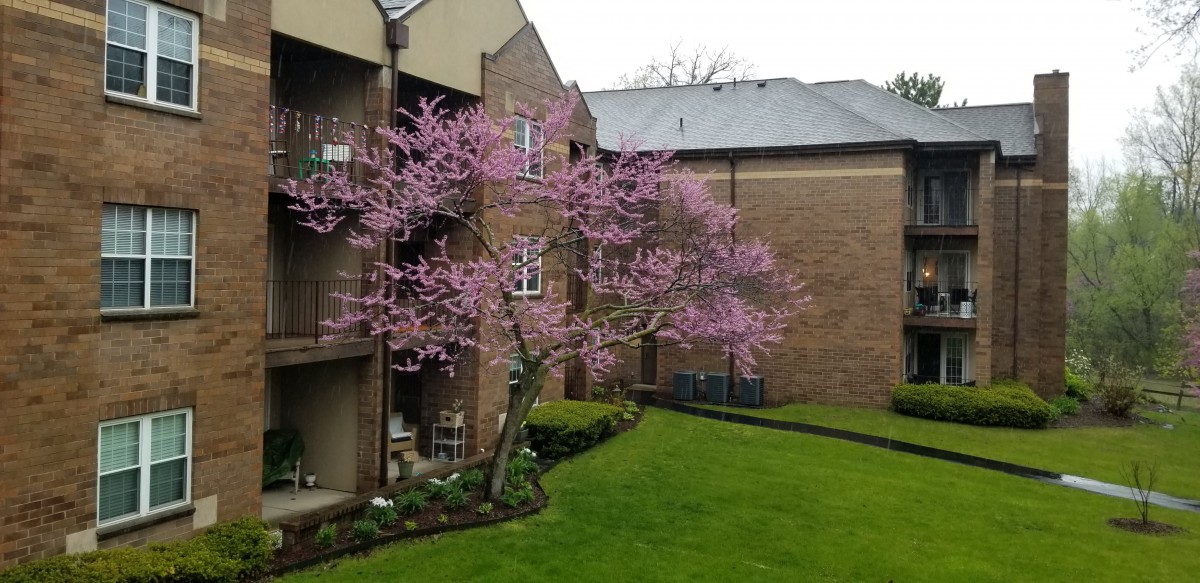Beaumont Commons Dearborn,  a CCRC