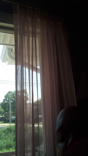 A glimpse of sunlight streaming through sheer curtains, revealing a serene outdoor setting.