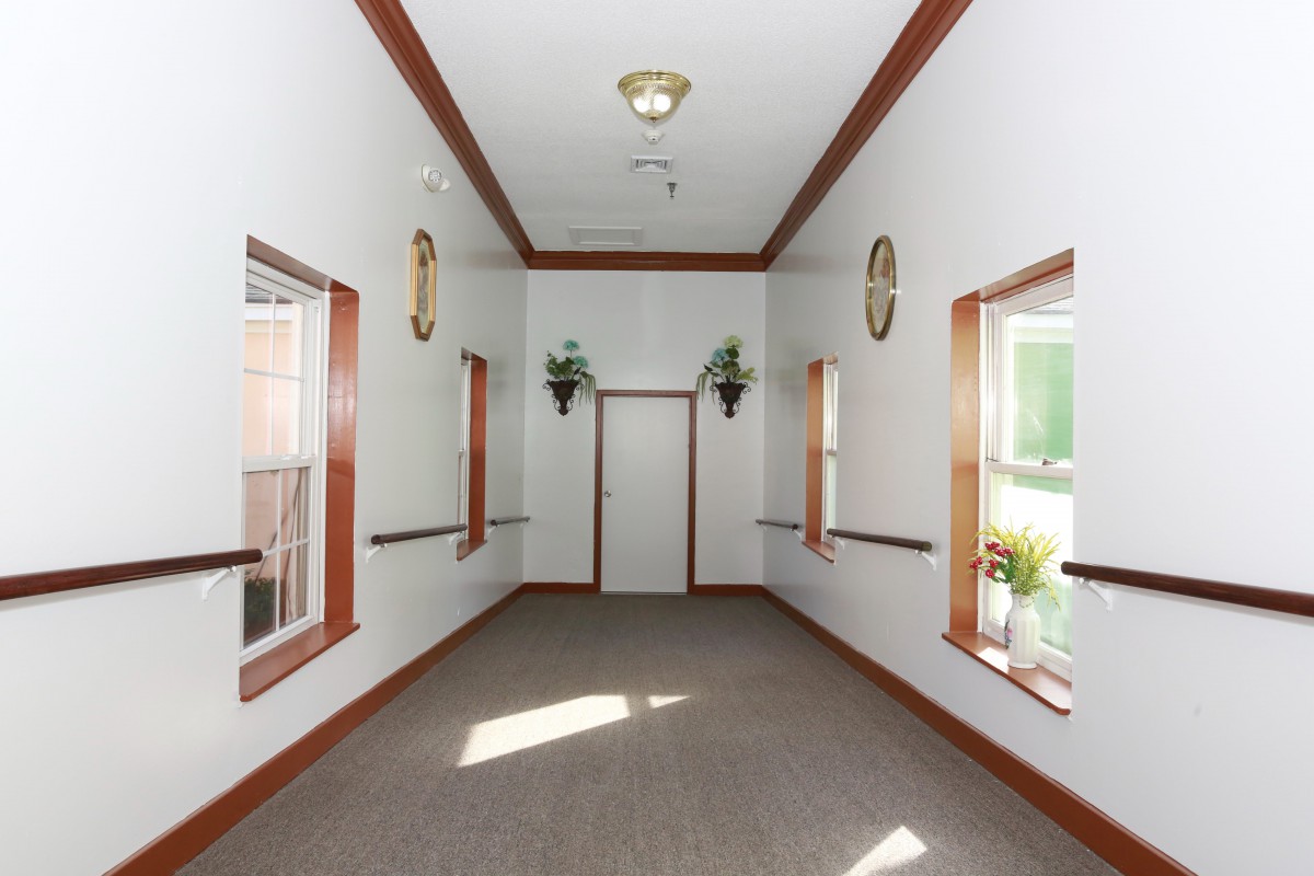 A well-lit hallway with symmetrical windows and decorative plants.