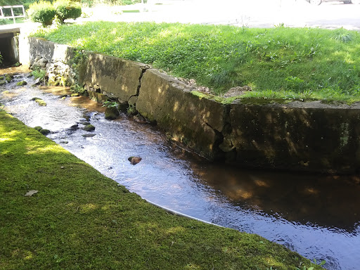 A serene stream gently flowing through a grassy landscape.