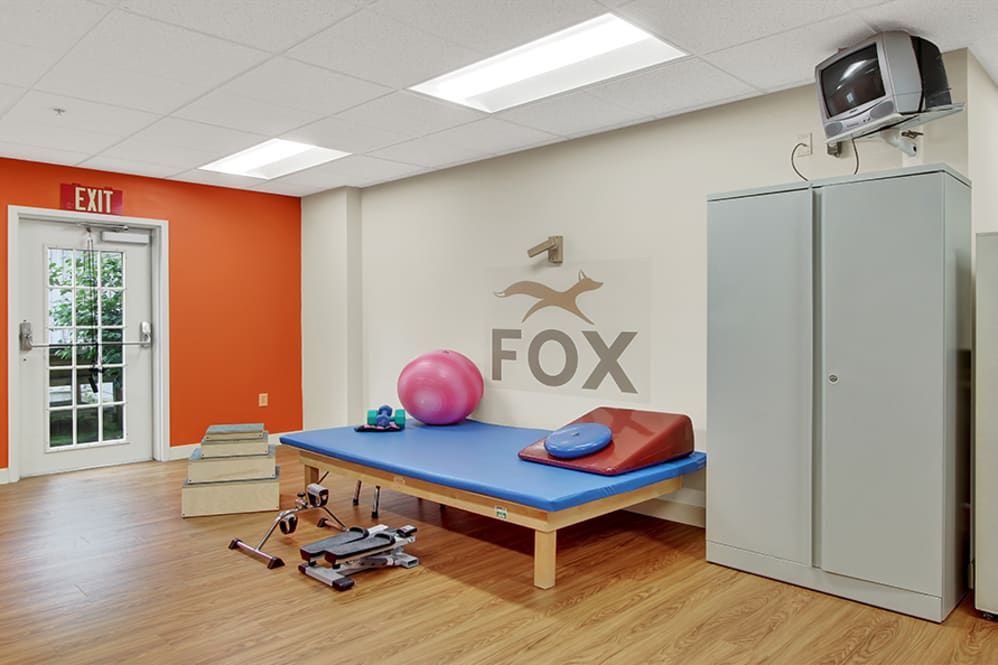 A physical therapy room equipped with exercise tools and a therapy table.