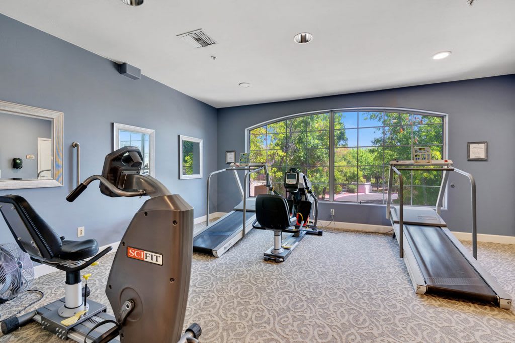 A modern gym with various exercise equipment and a large window offering a view of the outdoors.