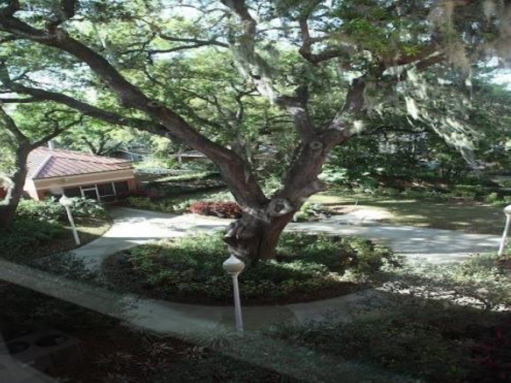 Bayshore Pointe Nursing and Rehab Center
