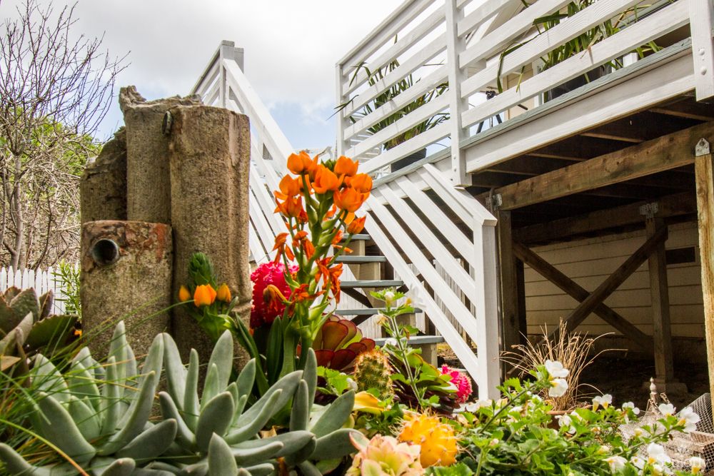 A vibrant garden scene with colorful flowers and a white staircase in the background.