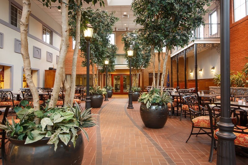A spacious indoor restaurant area featuring tall potted trees and a brick floor.