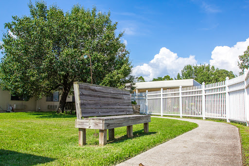 A wooden bench in a peaceful park setting under a clear blue sky.
