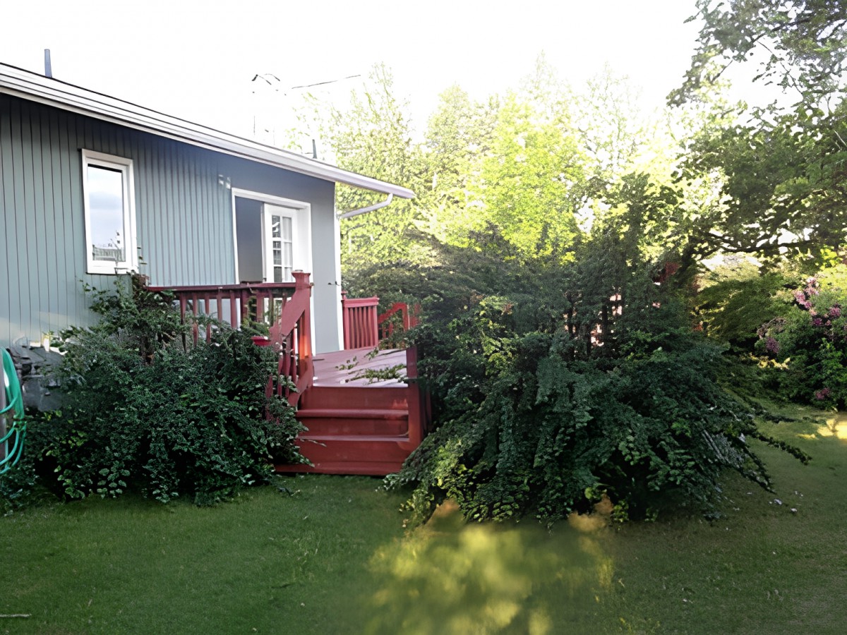 A backyard view featuring a house with a small deck and surrounding greenery.