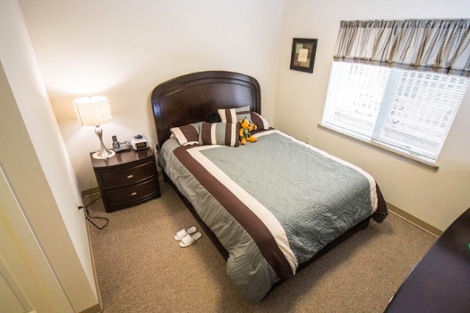 A cozy bedroom with a neatly made bed, a nightstand with a lamp, and natural light coming through the window.