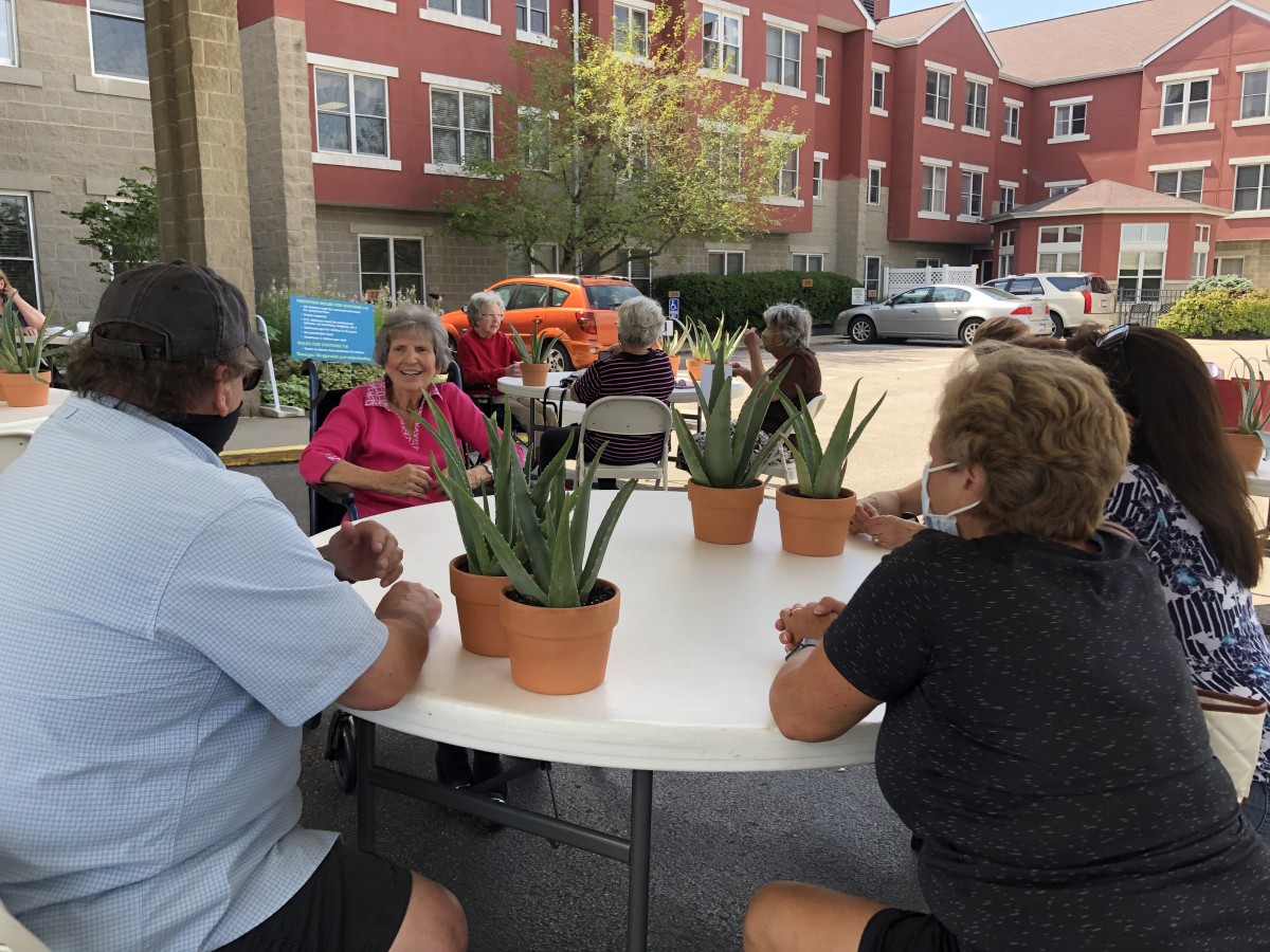 A group of seniors enjoying an outdoor gathering around a table with potted plants.