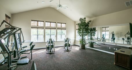 Providence Meadows