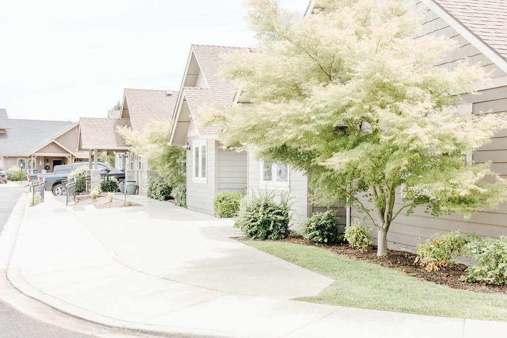 A row of suburban houses lined with trees along a quiet street.
