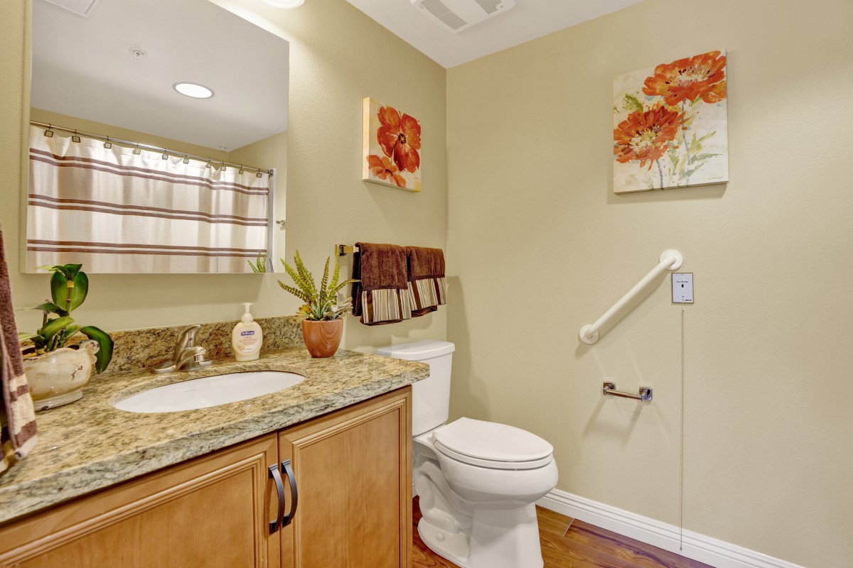 A small, well-appointed bathroom featuring a granite countertop, wooden cabinets, decorative artwork on the walls, and an indoor plant for added freshness.