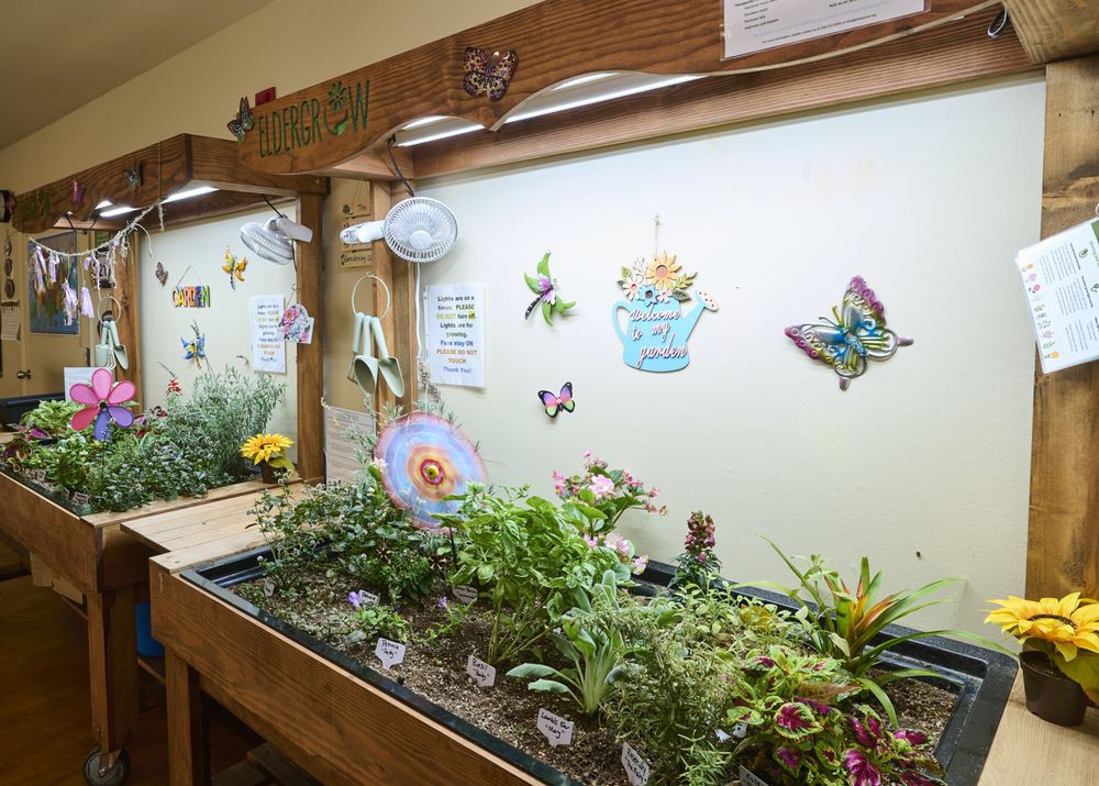 An indoor garden setup with various herbs and plants under grow lights, adorned with colorful butterfly decorations.