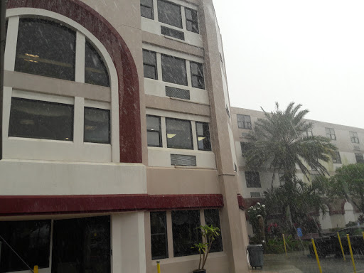 A view of a multi-story building framed by palm trees in rainy weather.