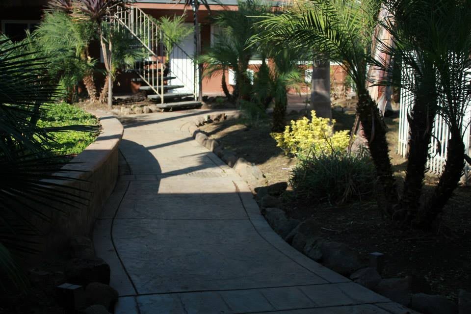 A serene garden pathway winding through lush landscaping with palm trees.
