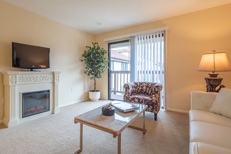 A cozy living room with a fireplace, chair, plant, and coffee table near a large window.
