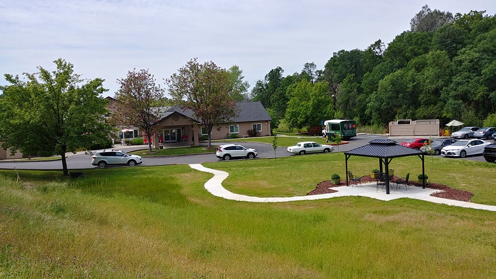 A serene landscape with several vehicles parked near a building, surrounded by lush greenery and a small pavilion.