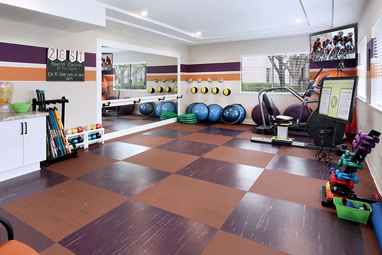 A well-equipped gym with various fitness equipment including exercise balls, a treadmill, and dumbbells.