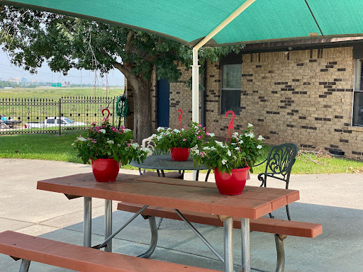 A peaceful outdoor seating area featuring a picnic table adorned with vibrant flower pots under a green canopy.