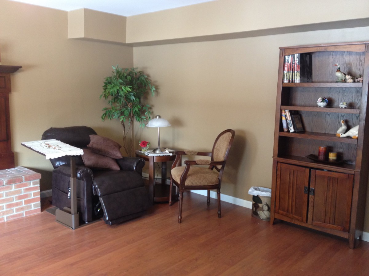 A cozy living room with a chair, bookshelf, and a potted plant on wooden flooring.