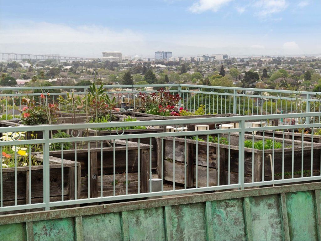 A view of a rooftop garden overlooking an urban cityscape with a clear blue sky.
