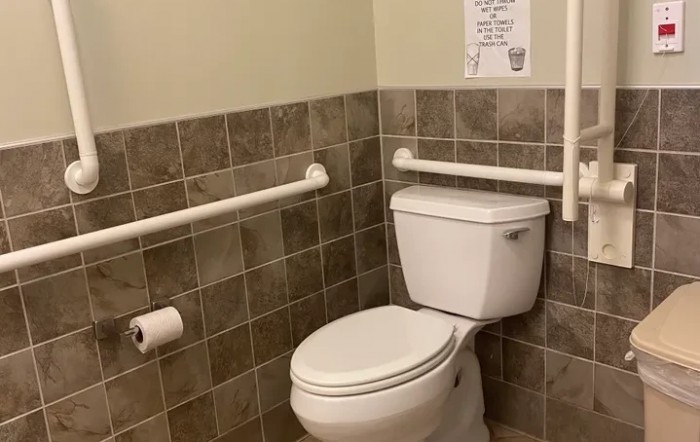 A clean bathroom corner with a toilet and handrails.