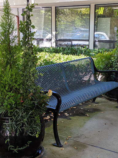 A blue bench surrounded by lush greenery, inviting a moment of tranquility.
