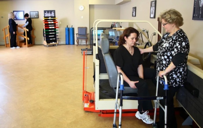 A physical therapy session in progress with a patient and therapist using exercise equipment indoors.