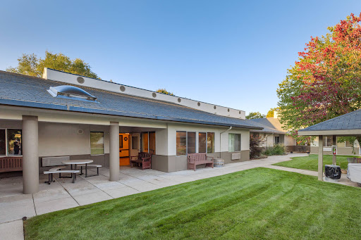 A modern house with a well-maintained garden and clear blue sky.