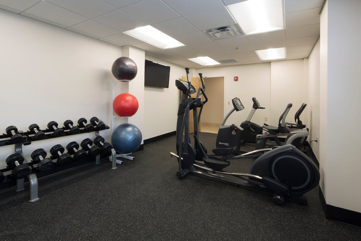 A small gym with ellipticals, dumbbells, and stability balls.