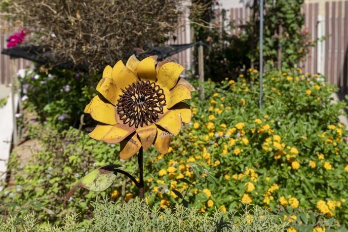 A garden with a metal sunflower sculpture surrounded by yellow flowers.