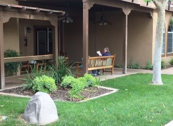 A person reading on a bench in a garden patio area.
