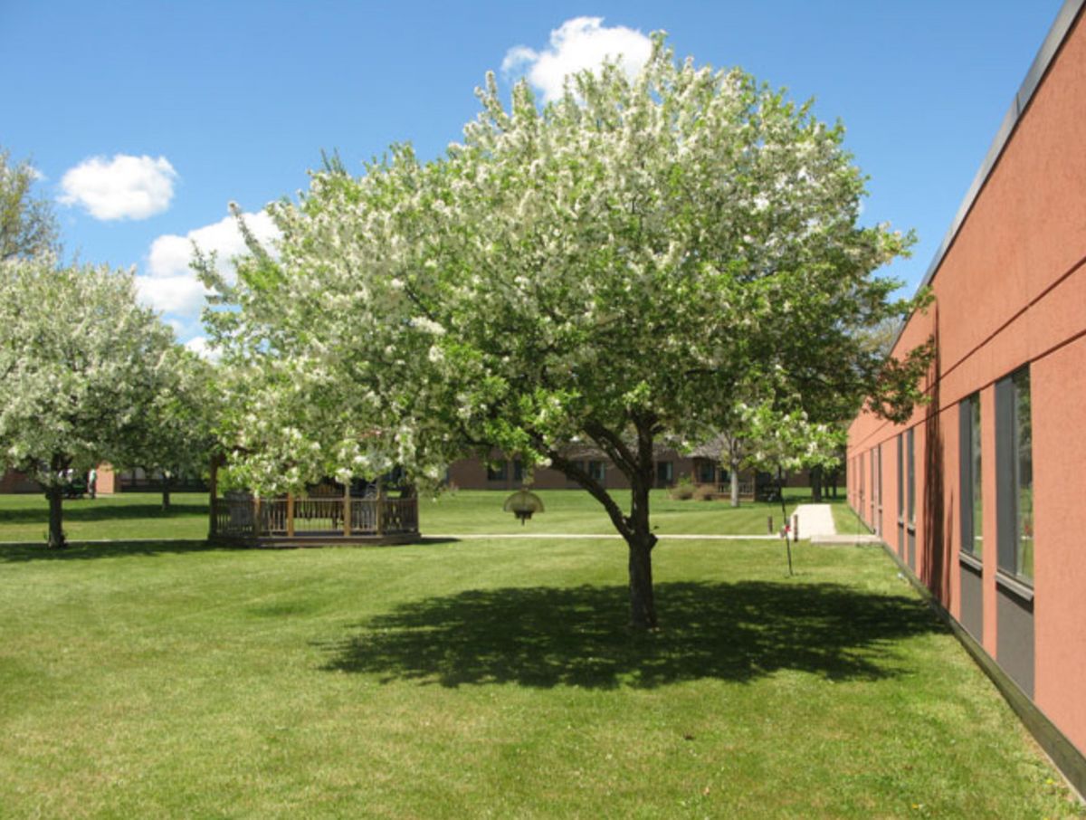 Manor Hills